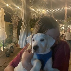 Meet your Posher, Lila